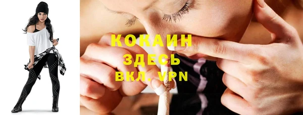 прущие грибы Верея