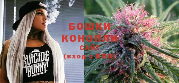 прущие грибы Верея