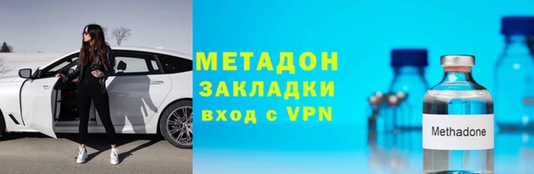 прущие грибы Верея