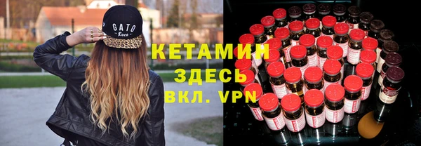 прущие грибы Верея