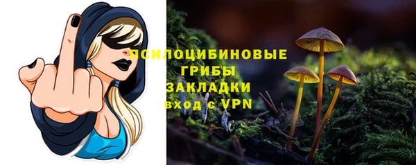 эйфоретик Бородино
