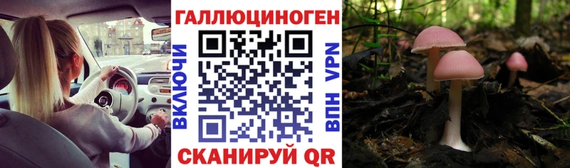 Галлюциногенные грибы Psilocybe Добрянка