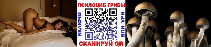 Галлюциногенные грибы мухоморы  закладки  Добрянка 